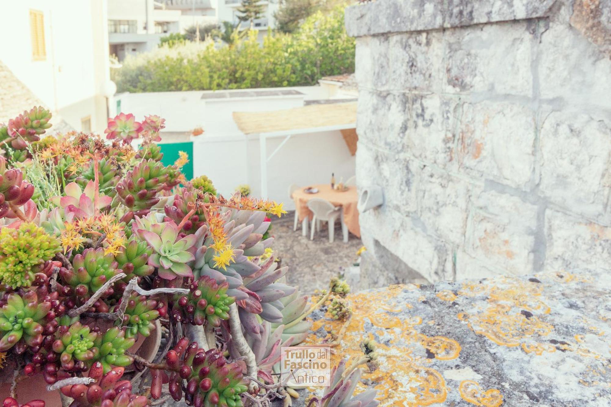 로코로톤도 Trullo Dal Fascino Antico 빌라 외부 사진